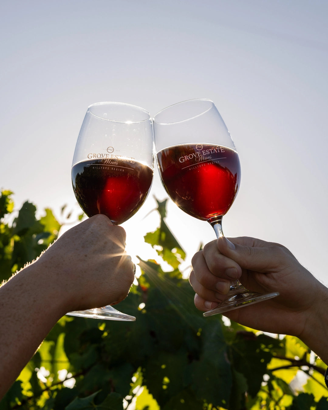 The Chilled Reds Pack