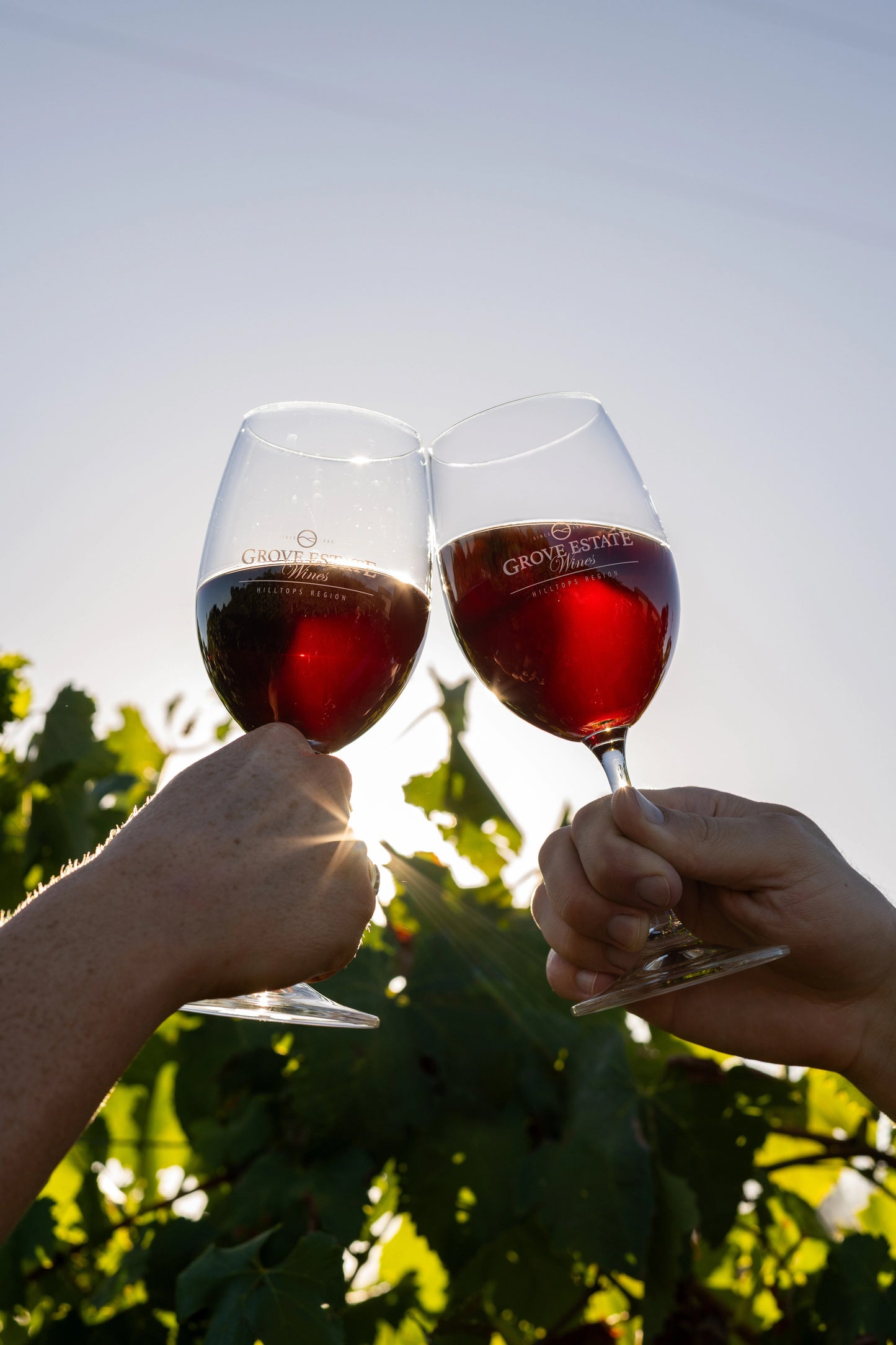 The Chilled Reds Pack