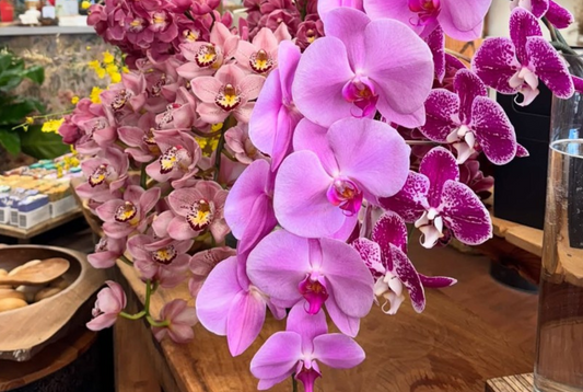 🌸 Primavina: A Floral x Wine Experience at Grove